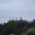2012-03-07_11.27.48